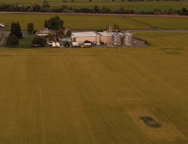 Aerial view of the lodge, shop and ponds among the rice fields near Richvale