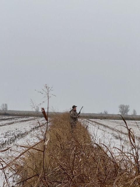 A hunter walks a grassy levee through flooded rice fields under grey skies