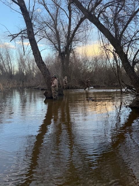 A hunter wades through flooded timber under a clear winter sky